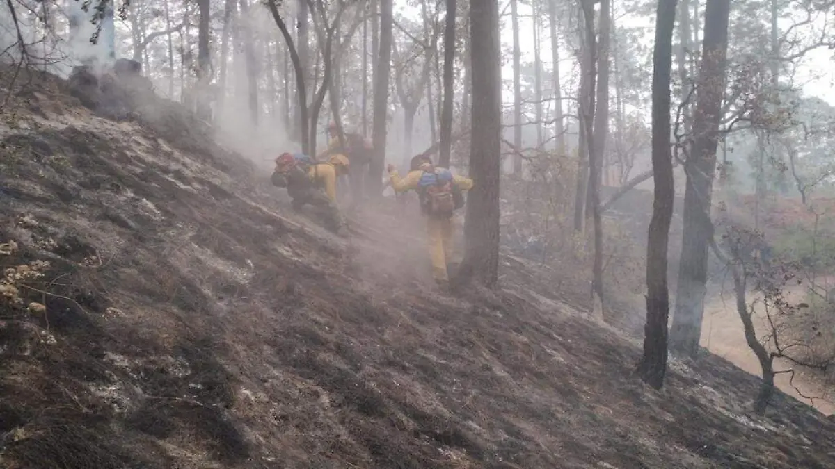 incendio tapalpa